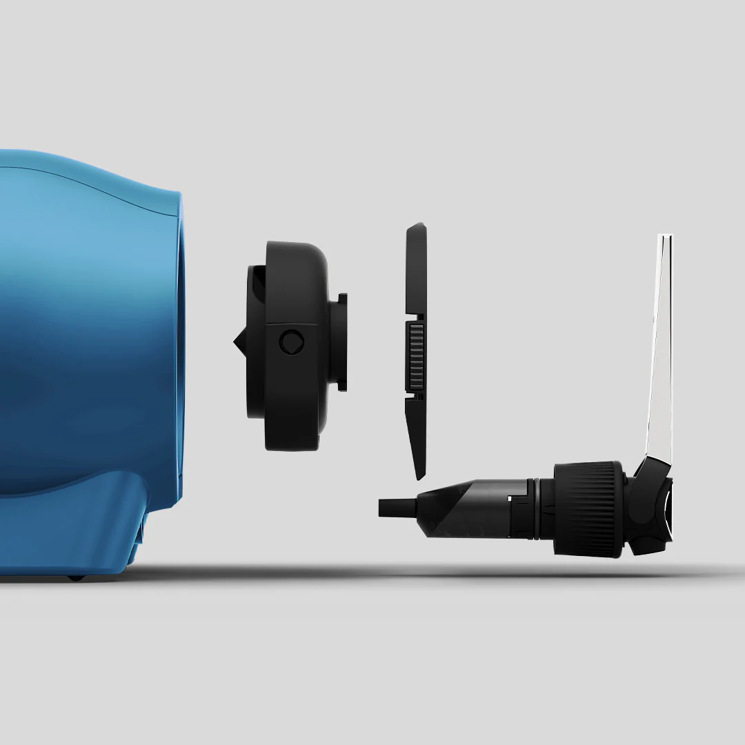 Electric Blue Pinter - Image 5
